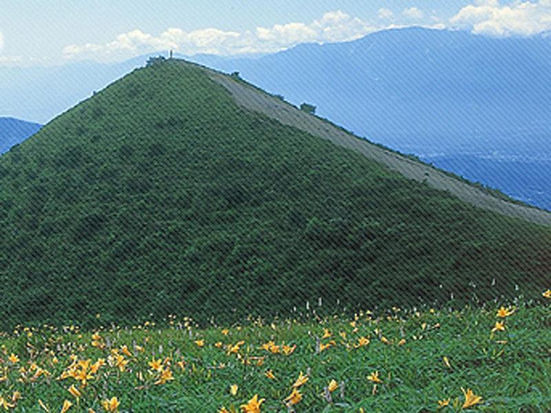 Отель Shintaku Sanso Minamimaki Экстерьер фото